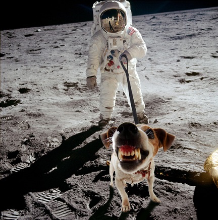 buzz_moon_dog.jpg